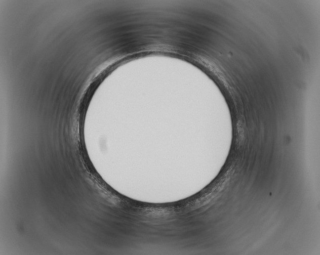 X0000112410931200909251453
