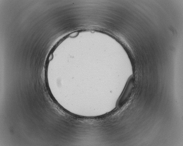 X0000112410932200909251453