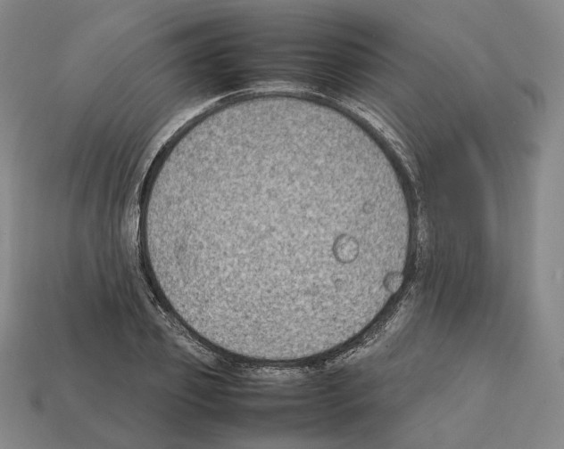X0000112410933200909251453