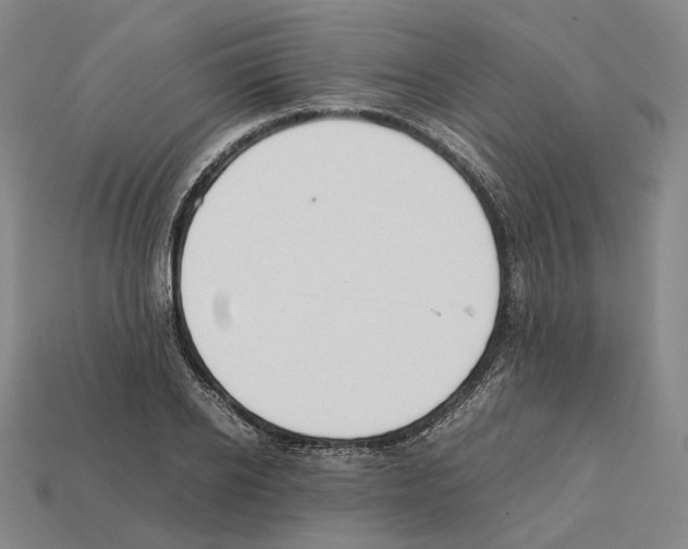 X0000112410934200909251453