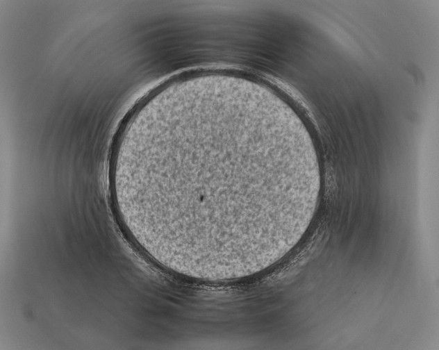 X0000112410935200909251453