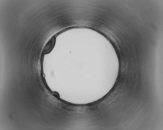 X0000112410936200909251453