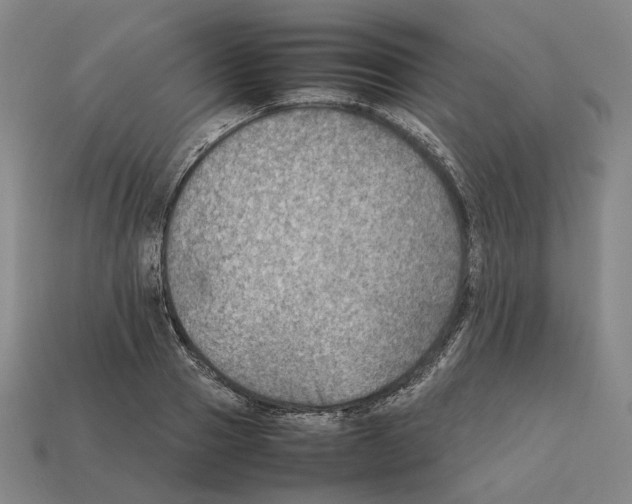 X0000112410937200909251453
