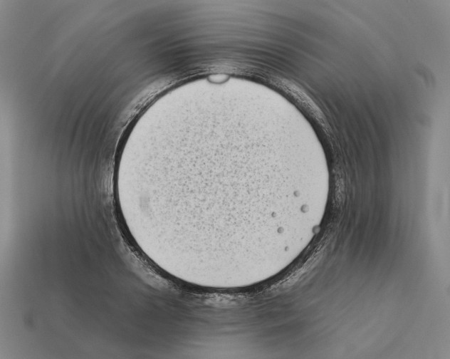 X0000112410938200909251453