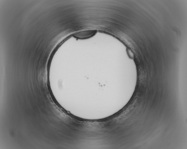 X0000112410940200909251453