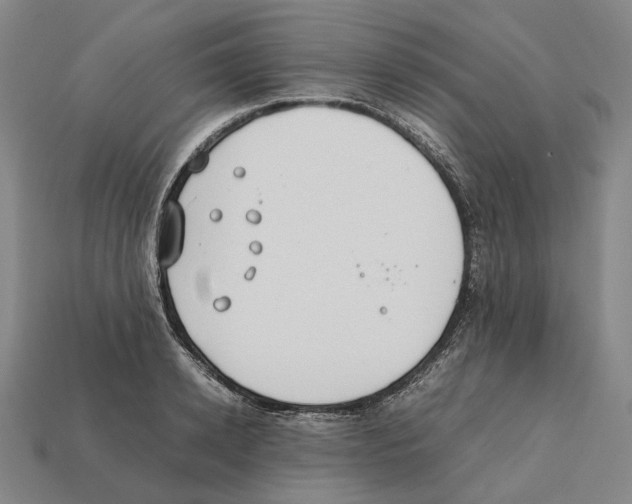 X0000112410942200909251453