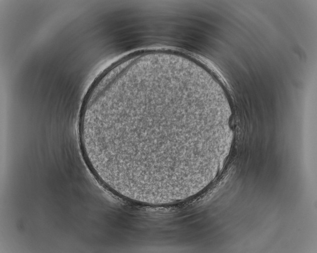 X0000112410943200909251453