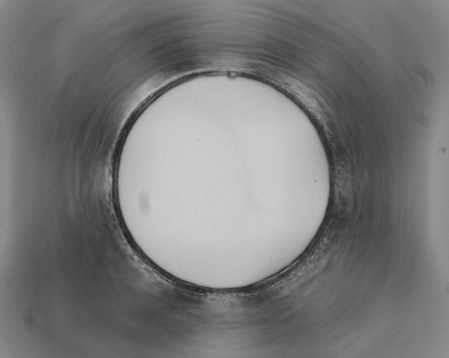 X0000112410944200909251453