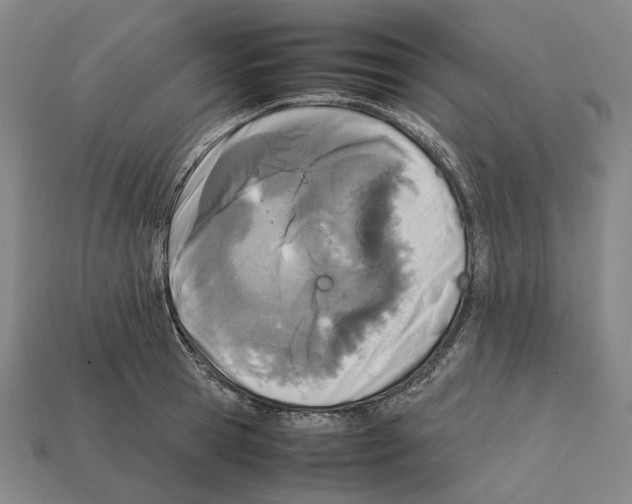 X0000112410945200909251453