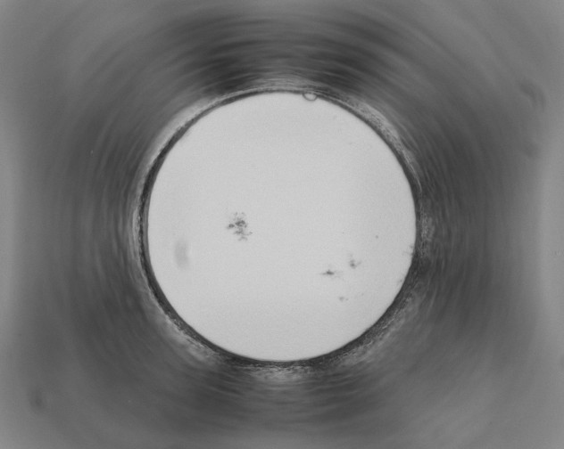 X0000112410947200909251453