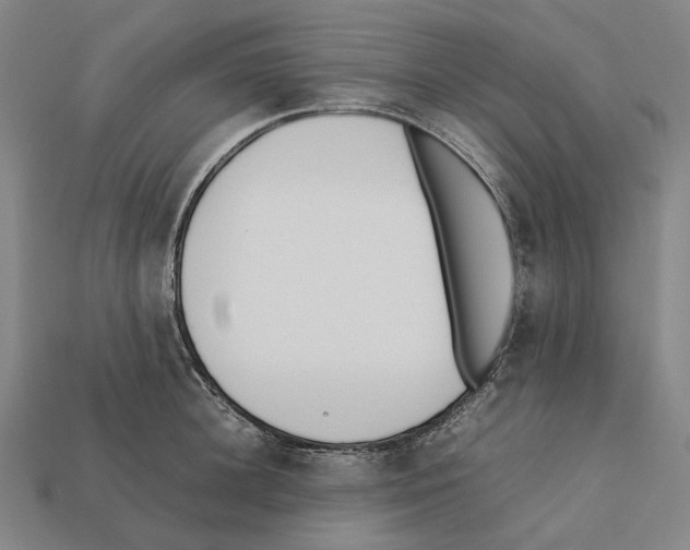 X0000112410948200909251453