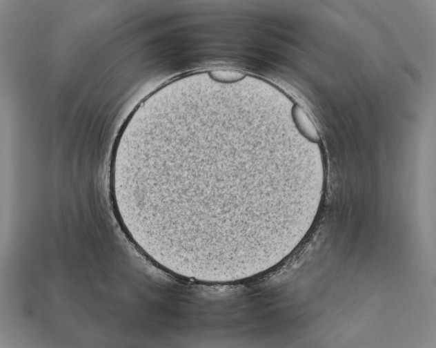 X0000112410949200909251453
