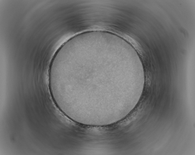 X0000112410950200909251453
