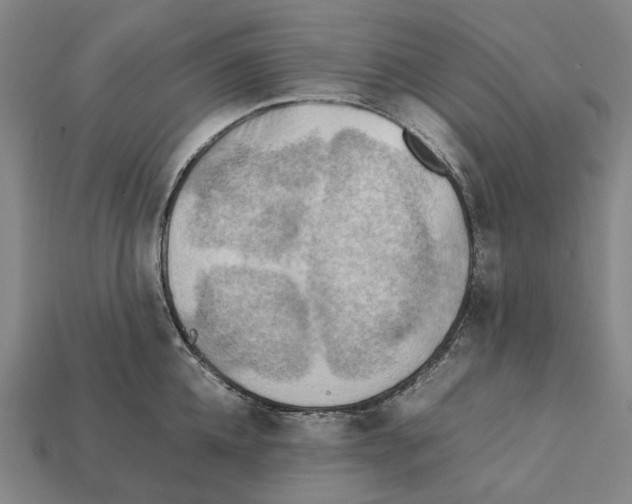 X0000112410952200909251453