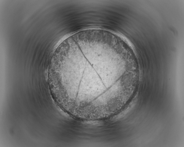 X0000112410953200909251453