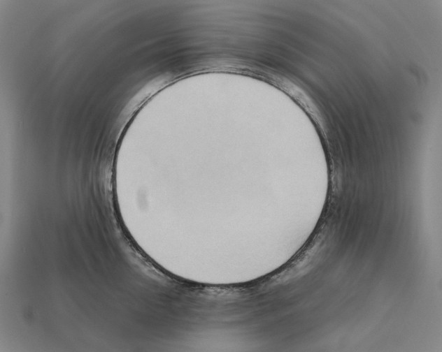 X0000112410954200909251453