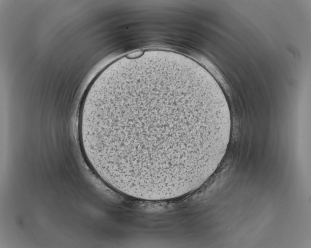 X0000112410955200909251453