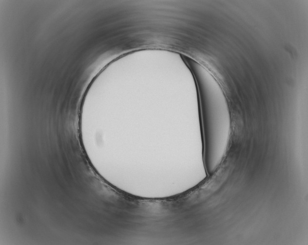 X0000112410956200909251453
