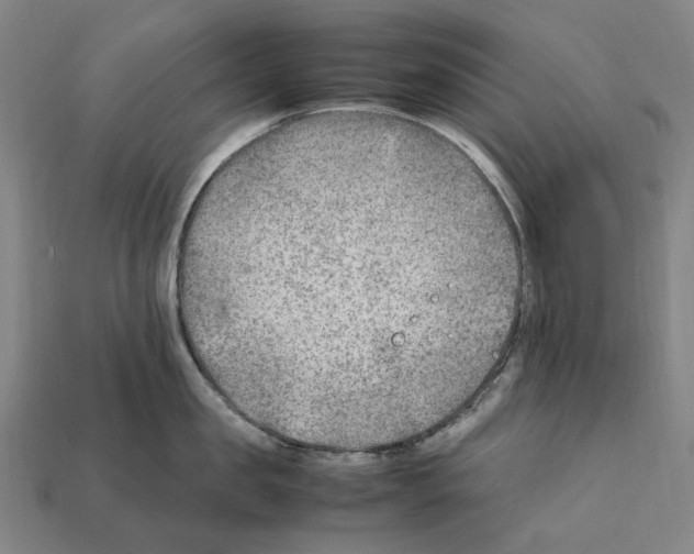 X0000112410957200909251453