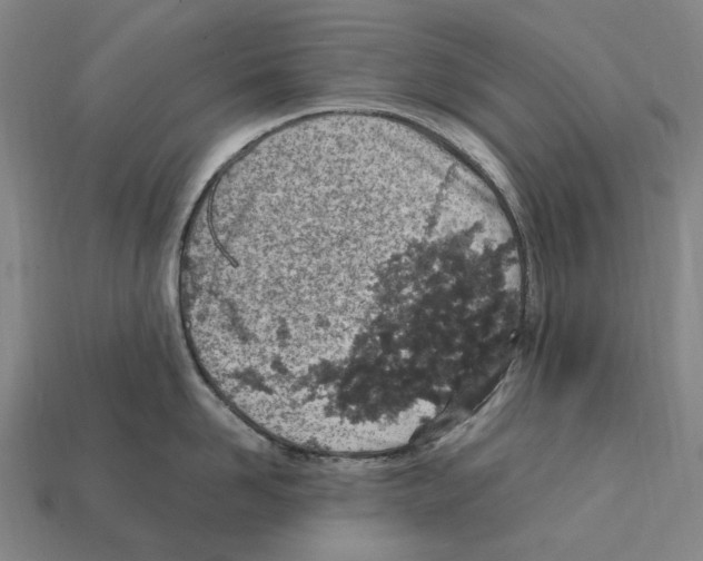 X0000112410958200909251453