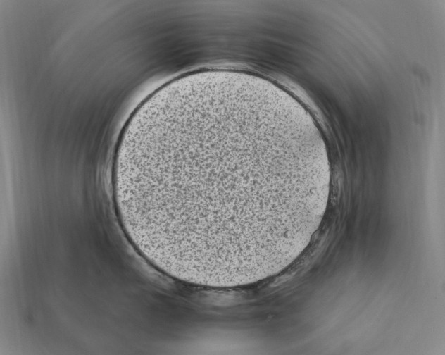 X0000112410959200909251453