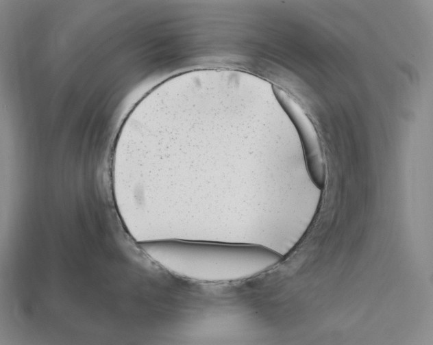 X0000112410960200909251453