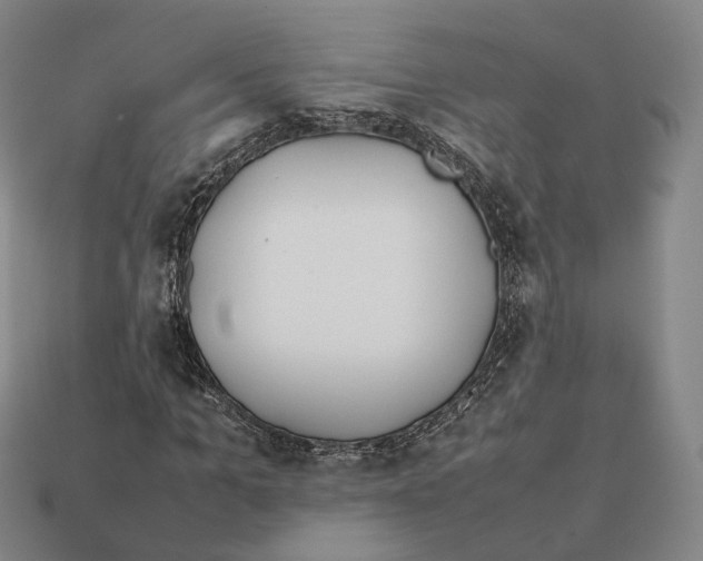X0000112410965200909251452
