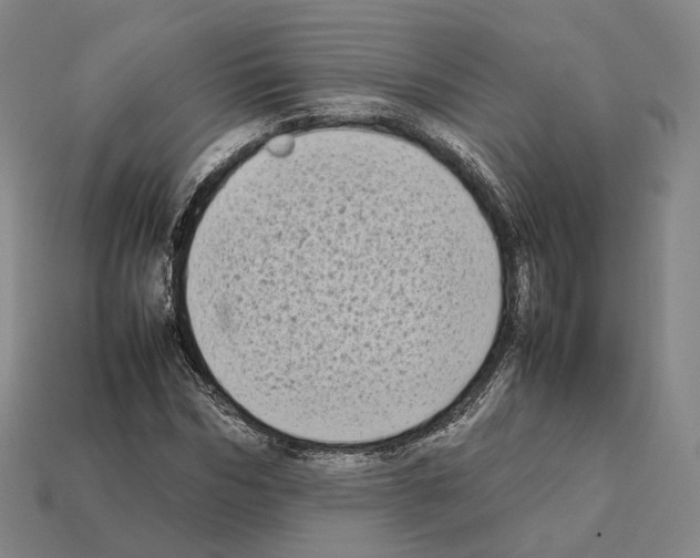X0000112410970200909251452