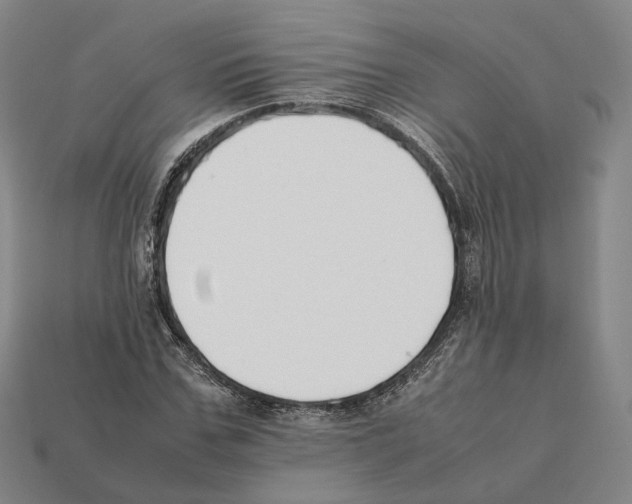 X0000112410971200909251452