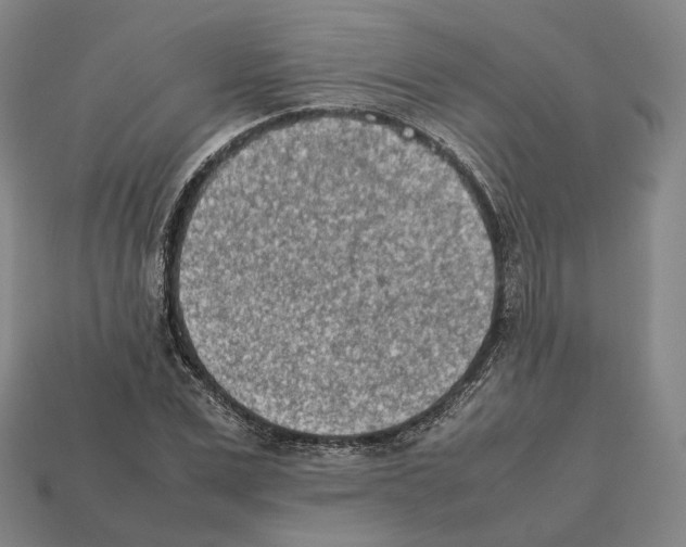 X0000112410975200909251452