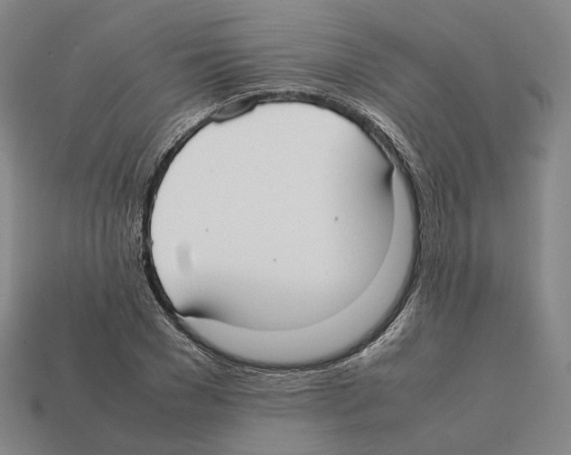 X0000112410977200909251452