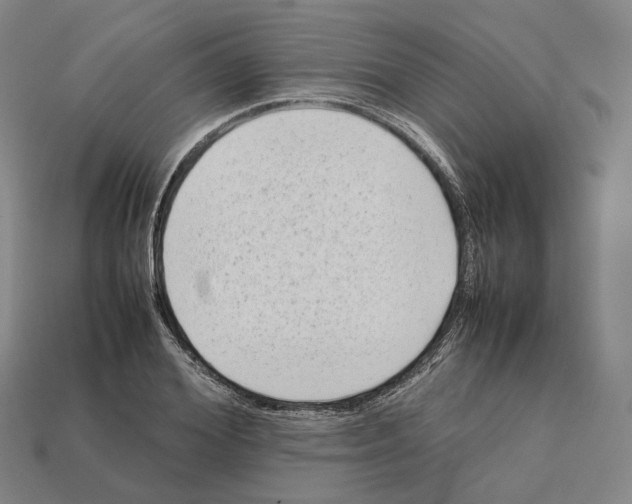 X0000112410980200909251452