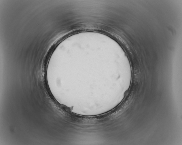 X0000112410981200909251452