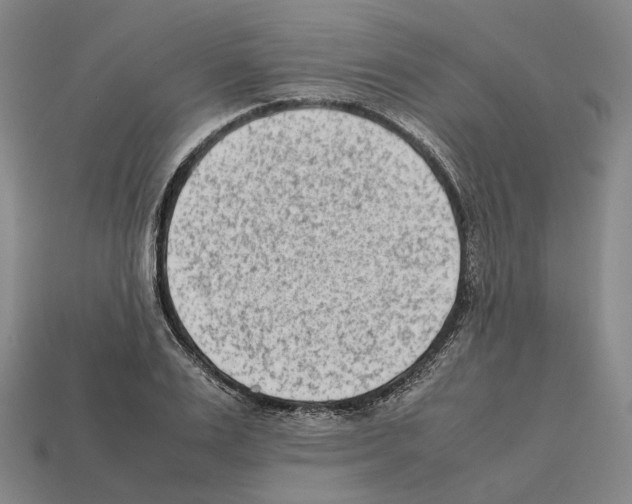 X0000112410983200909251452