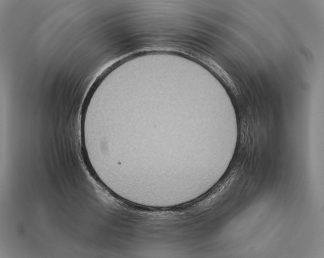 X0000112410988200909251452