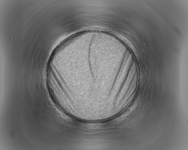 X0000112410989200909251452