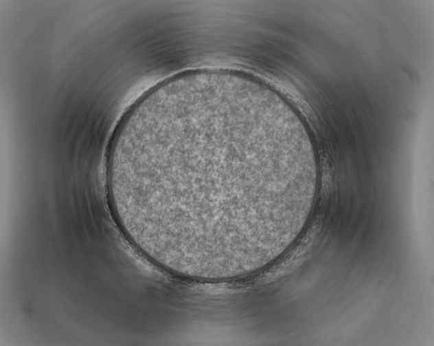 X0000112410990200909251452