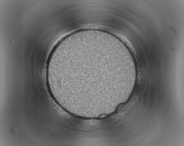 X0000112410992200909251452