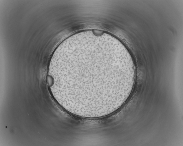 X0000112410993200909251452
