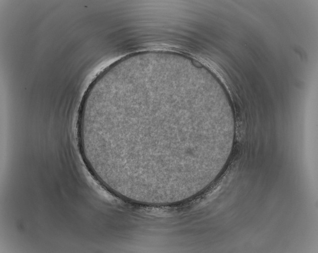 X0000112410995200909251452