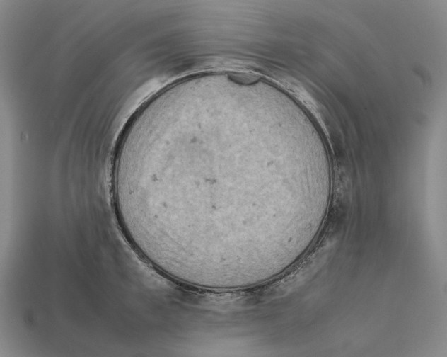 X0000112410997200909251452