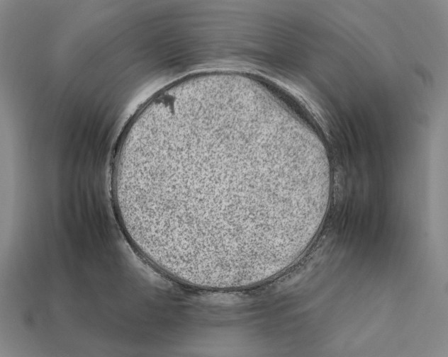X0000112410998200909251452