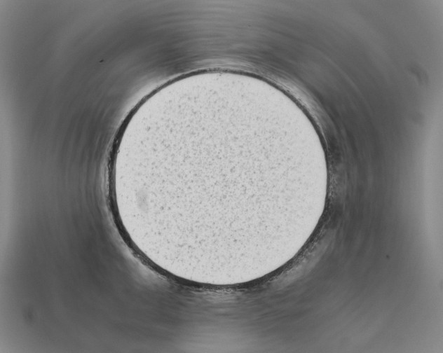 X0000112410999200909251452