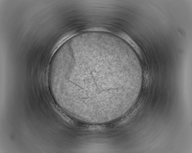 X0000112411002200909251452