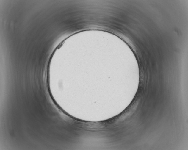 X0000112411007200909251452