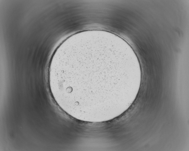 X0000112411008200909251452