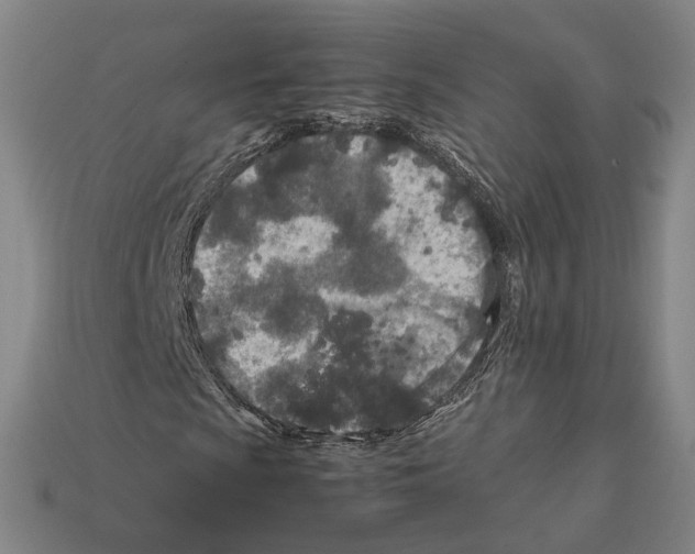X0000112411009200909251451