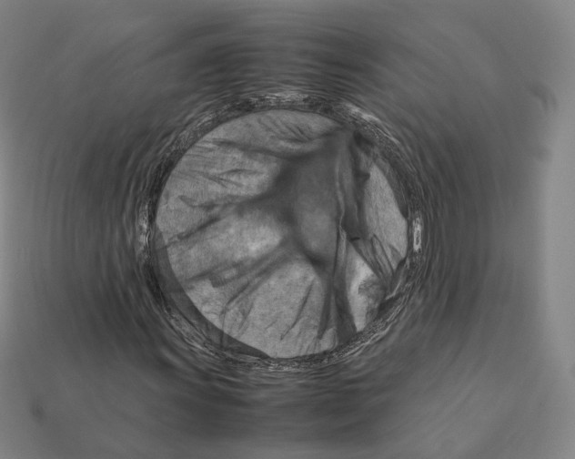 X0000112411011200909251451