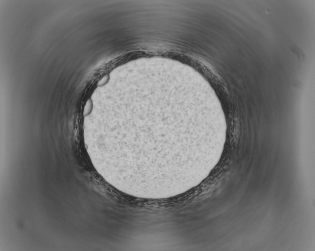 X0000112411016200909251451