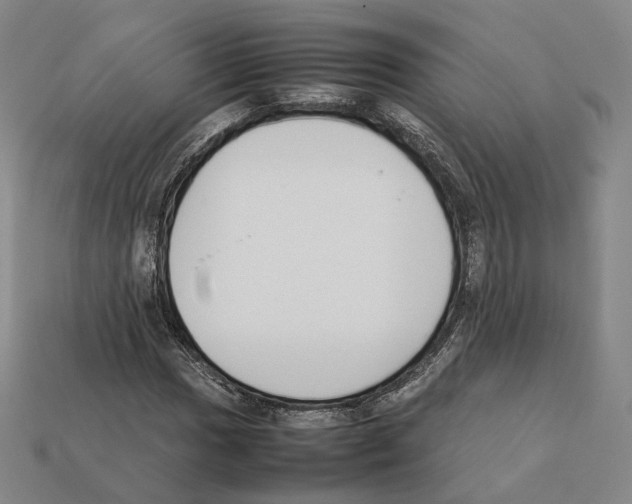 X0000112411017200909251451